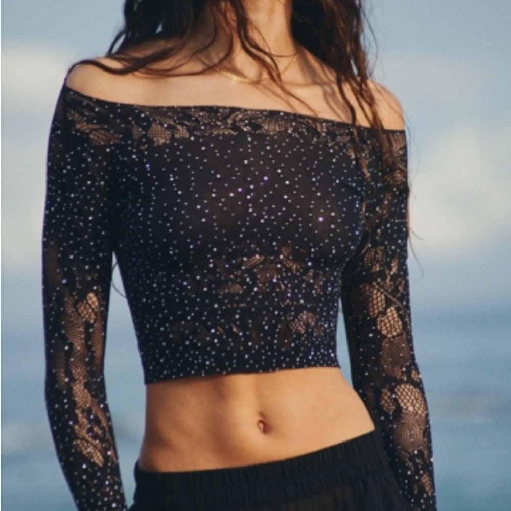 Zara Black Sequin Crop Mesh Top